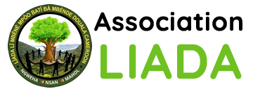 Association LIADA